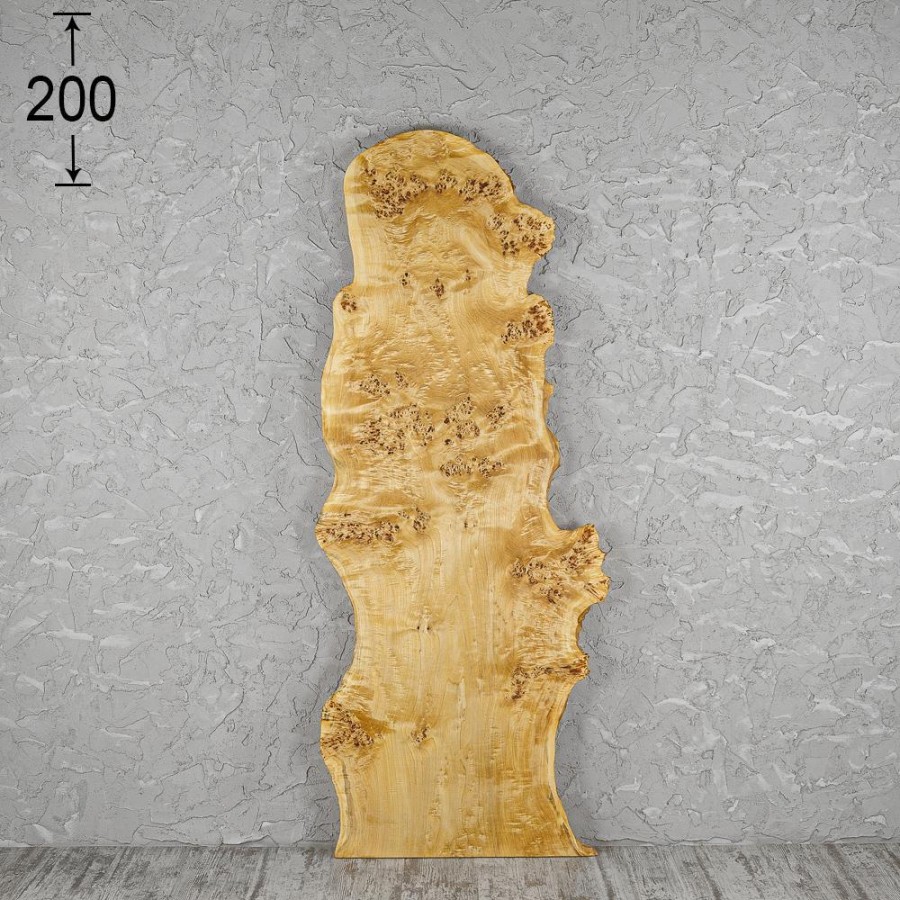 Слэб тополь decor_9046