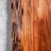 Слэб акация decor_3754